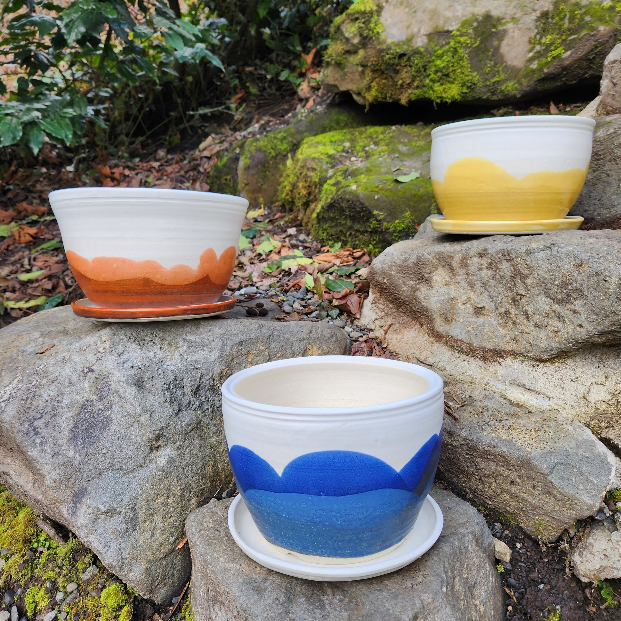 portland plant pots Portland Planters – Ren Anderson 605 NW MacLeay Blvd Portland OR 97210