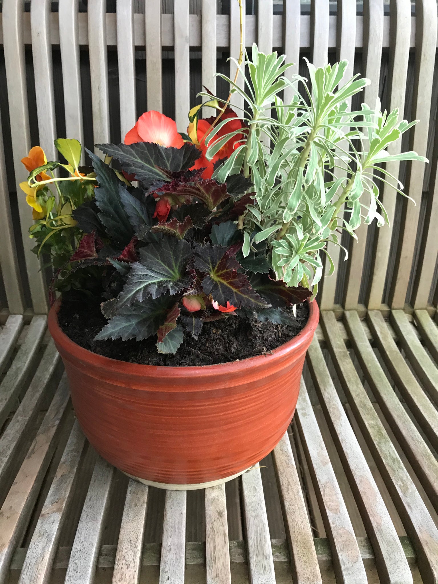 portland plant pots Portland Planters – Ren Anderson 605 NW MacLeay Blvd Portland OR 97210